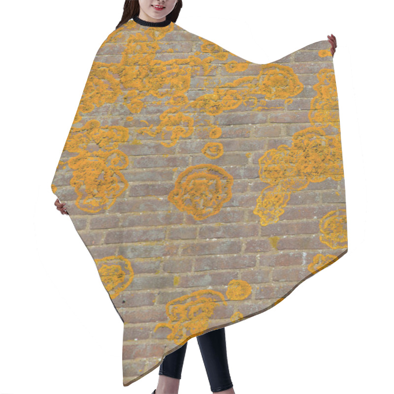 Personality  Orange Crustose Lichen  Hair Cutting Cape