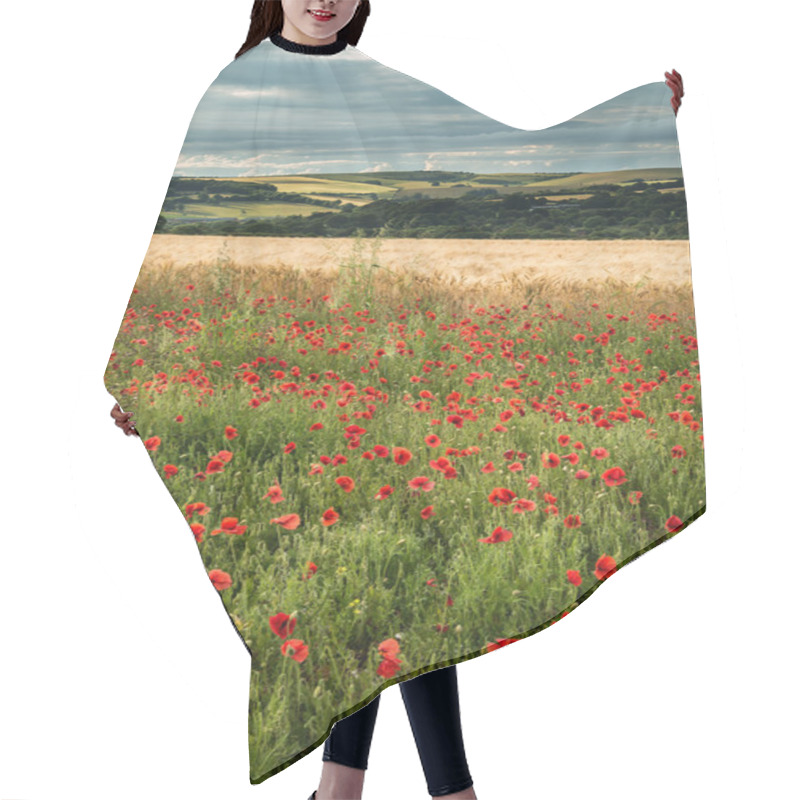 Personality  Beautiful Poppy Field Landscape During Sunset With Dramatic Sky Hair Cutting Cape