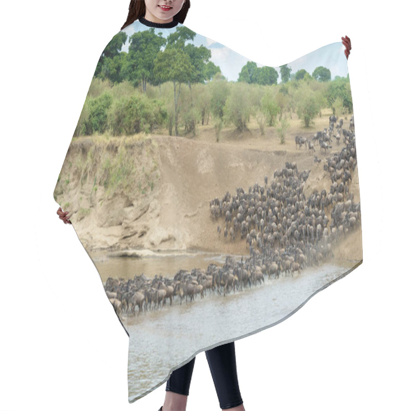 Personality  Blue Wildebeest, Brindled Gnu (Connochaetes Taurinus) Herd Crossing The Mara River During The Great Migration, Serengeti National Park, Tanzania. Hair Cutting Cape