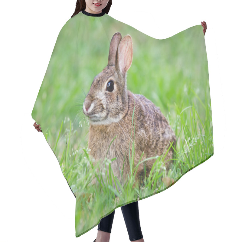 Personality  Cottontail Bunny Rabbit Eating Grass Hair Cutting Cape