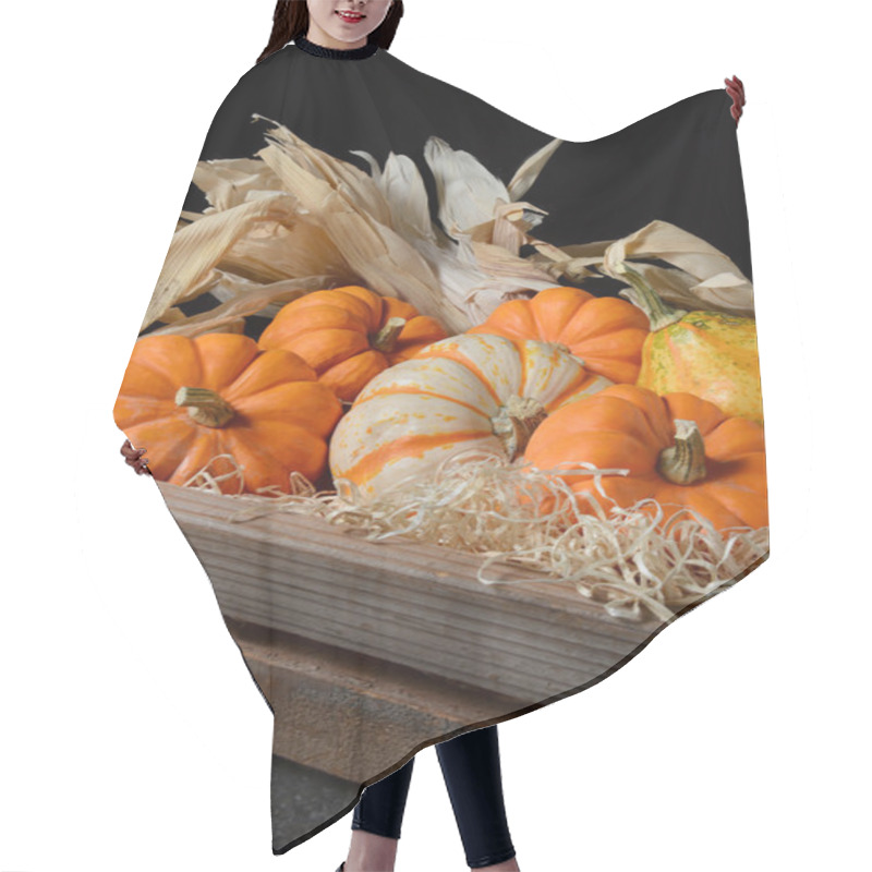 Personality  Decorative Gourds In Wood Crate Hair Cutting Cape