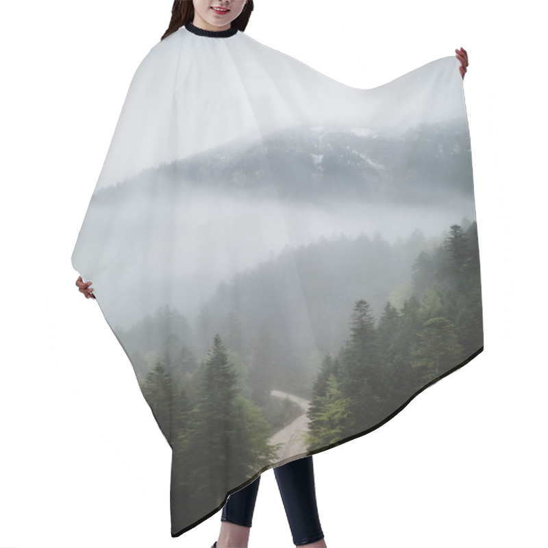 Personality  Forest With Pathway And Road  Hair Cutting Cape