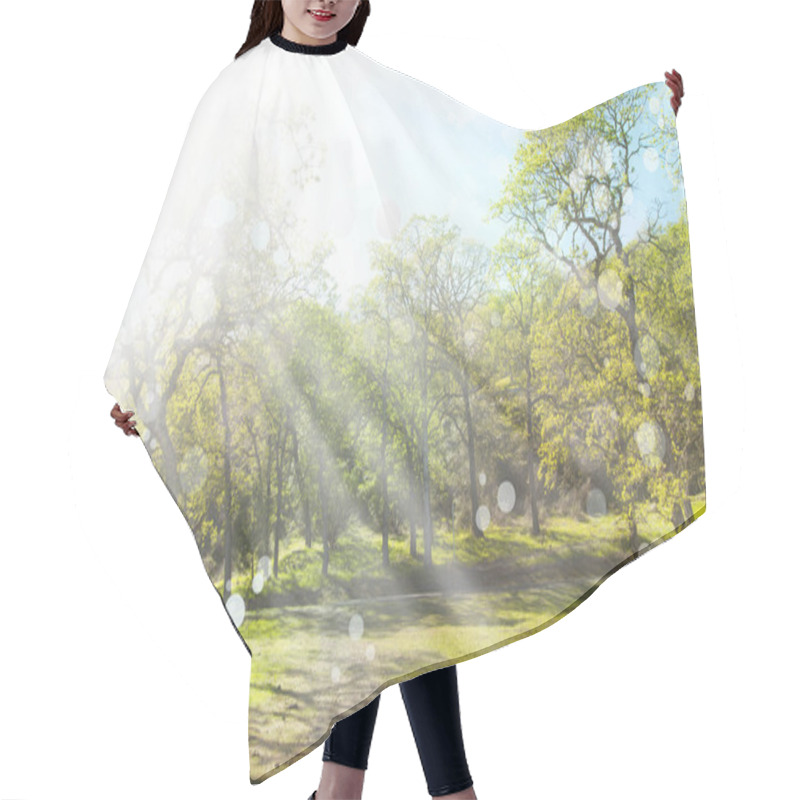 Personality  Spring Nature Background Hair Cutting Cape