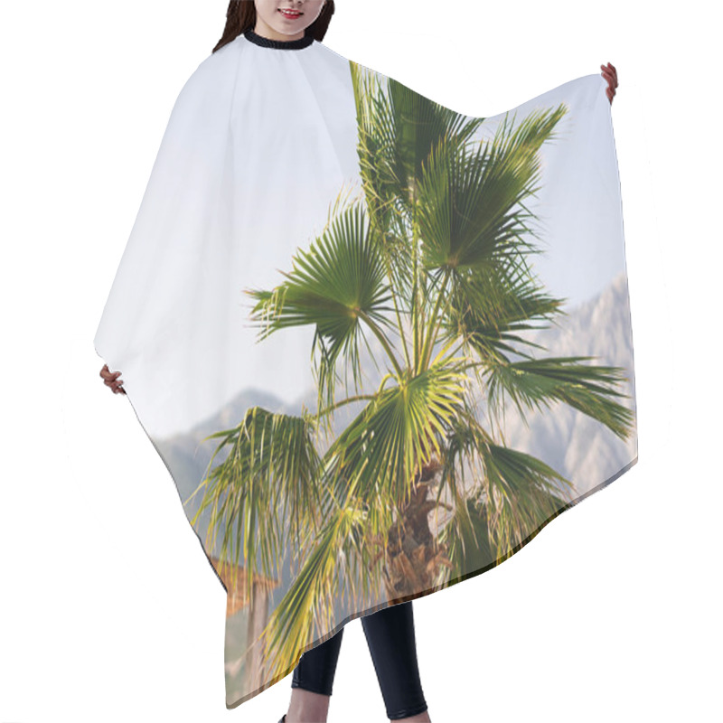 Personality  Beach With Palm Trees And Sky. Summer Vacation Travel Holiday Background Concept. Tropical Scenery. Mountains. Post Card. Hair Cutting Cape