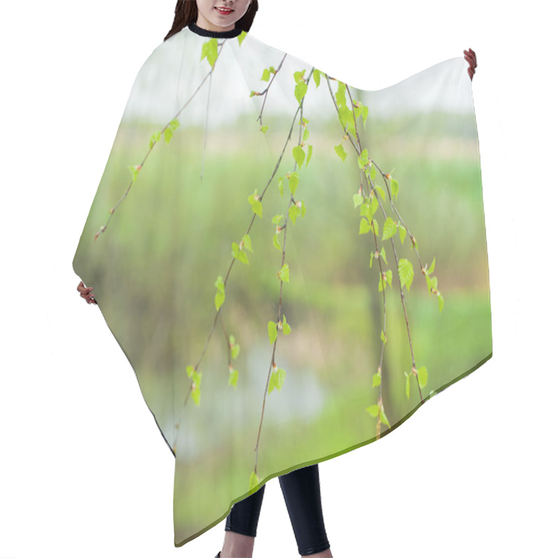 Personality  Spring Season Hair Cutting Cape