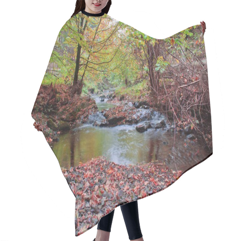 Personality  Autumn Stream In The Forest In Sunny Day Hair Cutting Cape