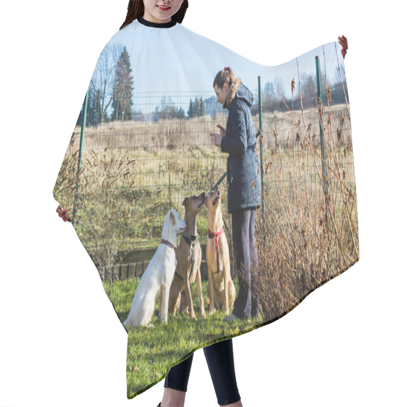 Personality  Woman Instructing Dogs Outside Hair Cutting Cape