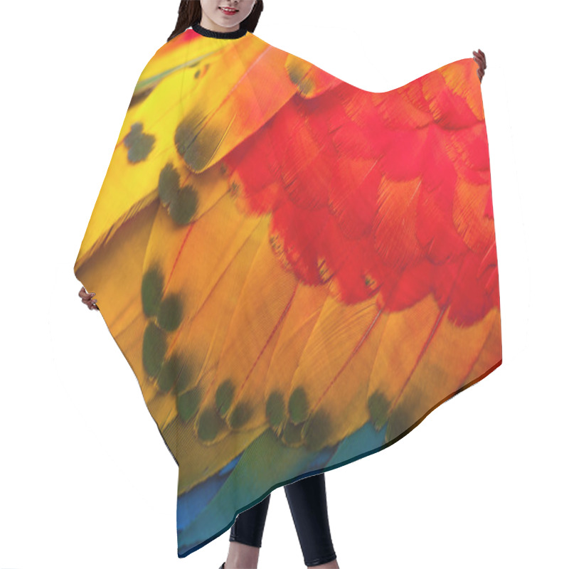 Personality  Ara Macaw Feathers Hair Cutting Cape