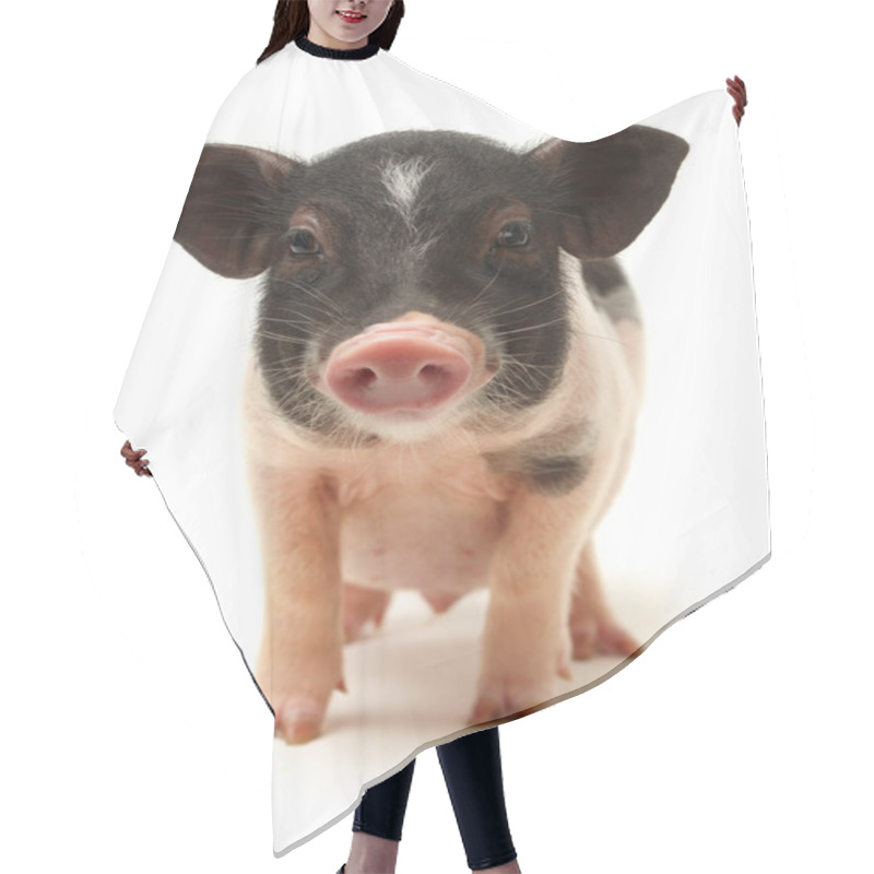 Personality  Small-eared Pig Hair Cutting Cape