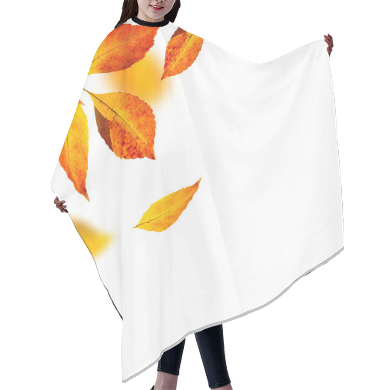 Personality  Autumn Leafs On White Background Hair Cutting Cape