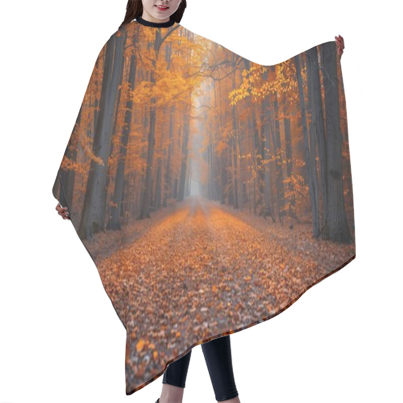 Personality  Explore A Serene Autumn Pathway Bordered By Vibrant Orange Leaves. This Tranquil Scene Invites You To Immerse In Nature's Beauty And Peaceful Atmosphere. Hair Cutting Cape