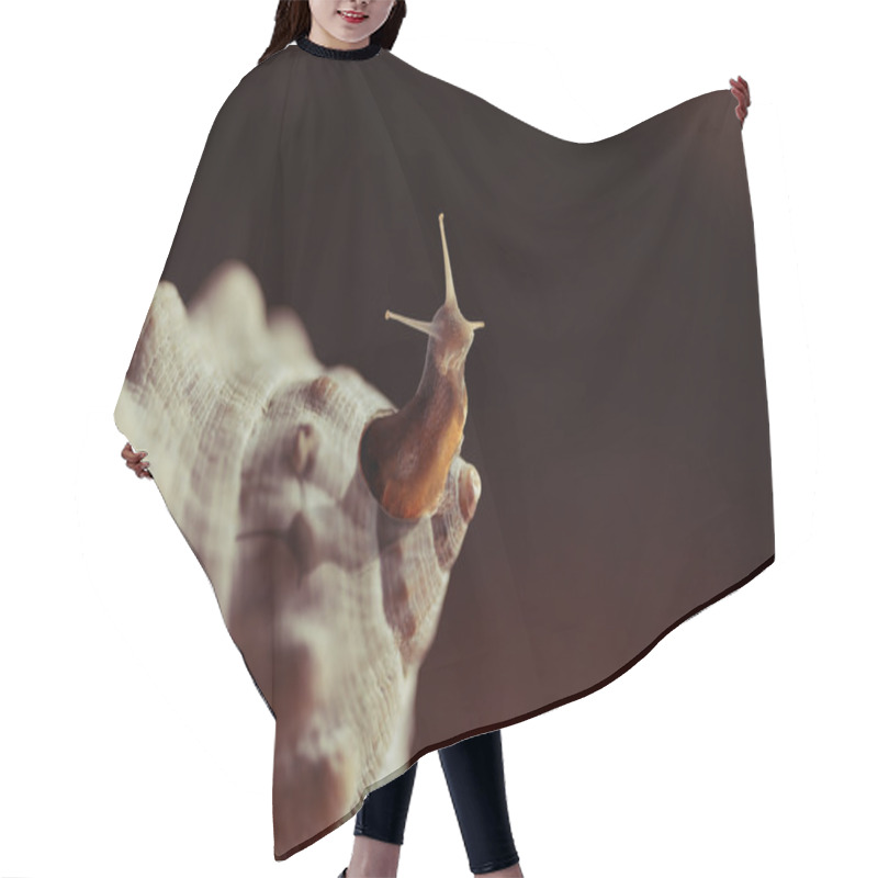 Personality  Outside The Box Snail Seashell Creative Concept Hair Cutting Cape