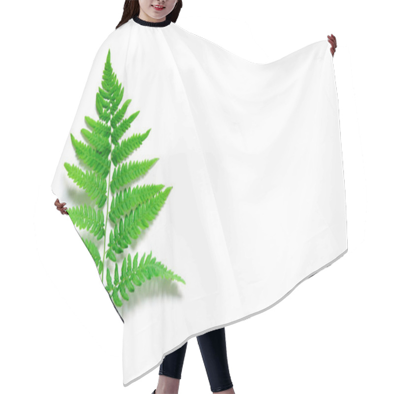 Personality  Top View Of Green Tropical Fern Leaf On White Background. Flat Lay. Minimal Summer Concept. - Image Hair Cutting Cape