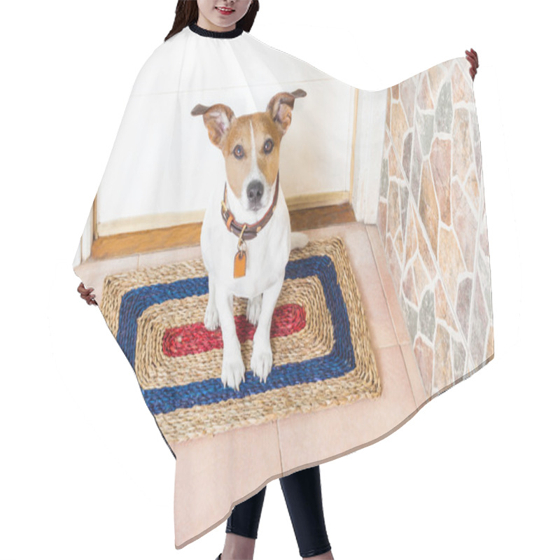 Personality  Dog And Owner  With Leash Hair Cutting Cape