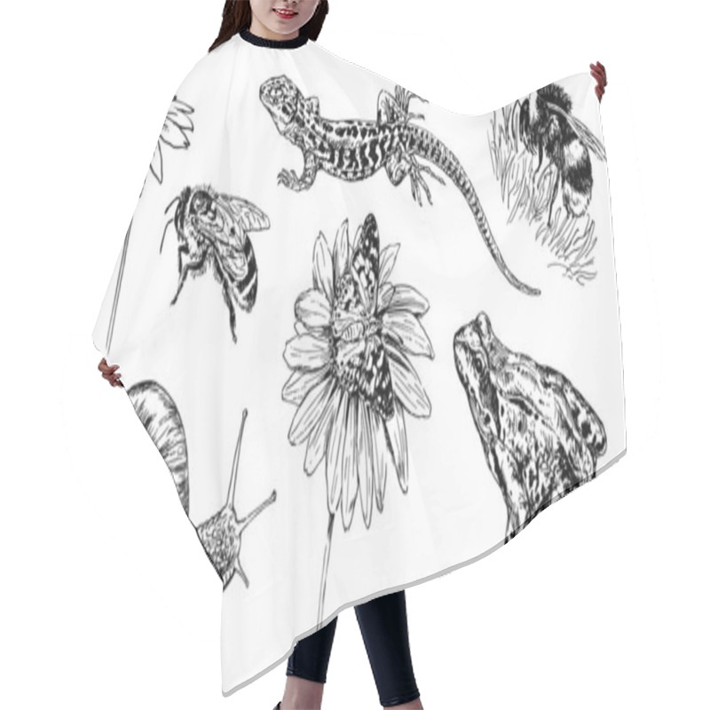 Personality  Collection Of Hand Drawn Animals And Insect. Hair Cutting Cape