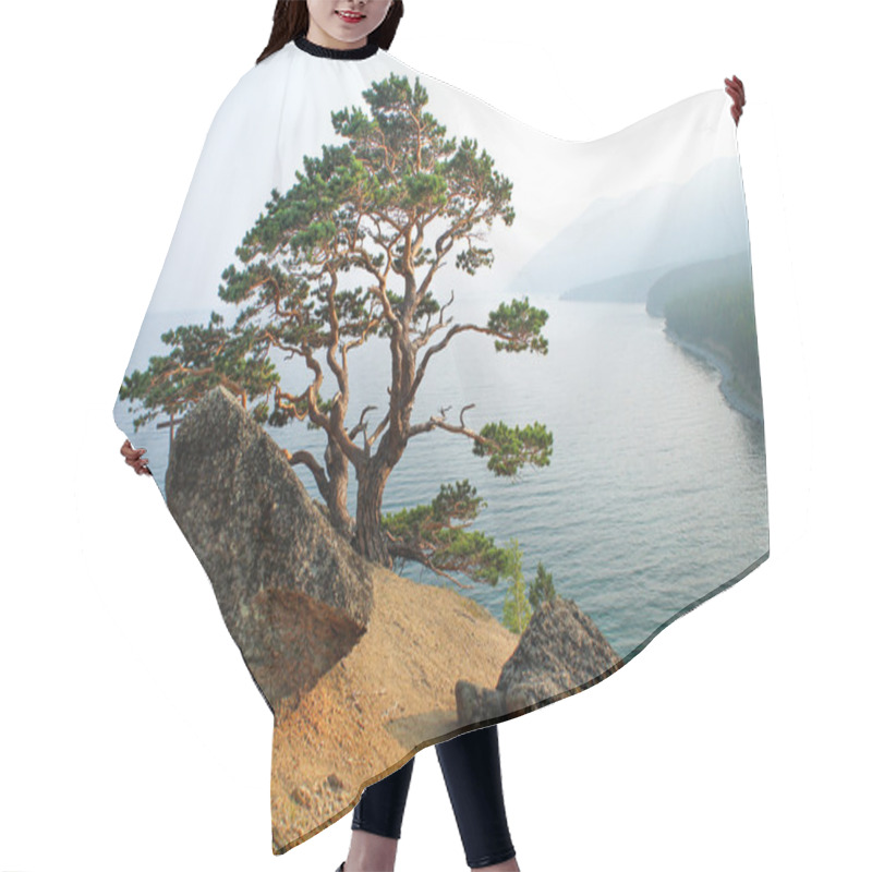 Personality  Tree On The Coast Of Lake Baikal Hair Cutting Cape