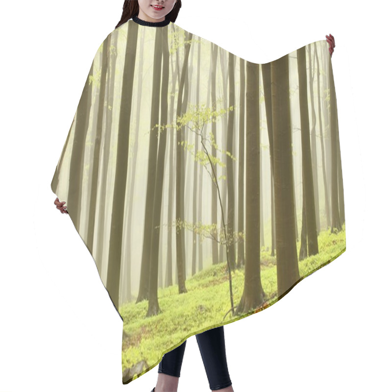 Personality  Misty Spring Forest Hair Cutting Cape