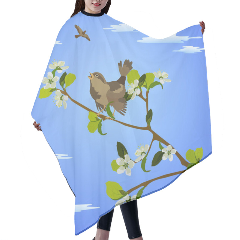 Personality  Bird Hair Cutting Cape