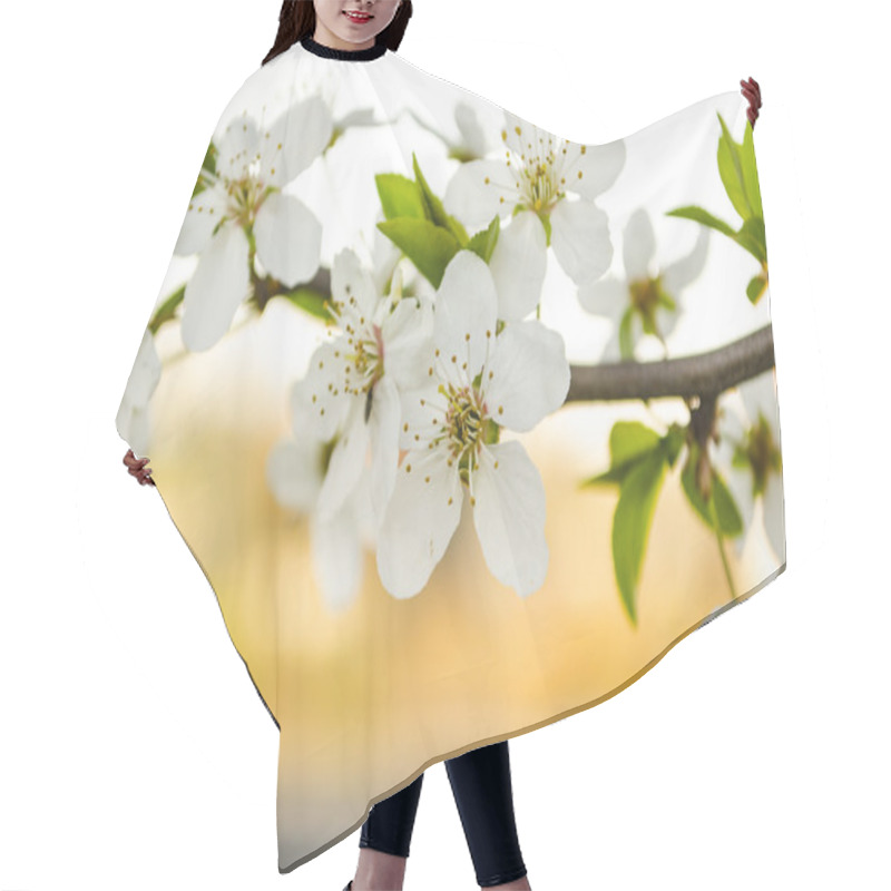 Personality  Flowering Tree In The Spring  Hair Cutting Cape