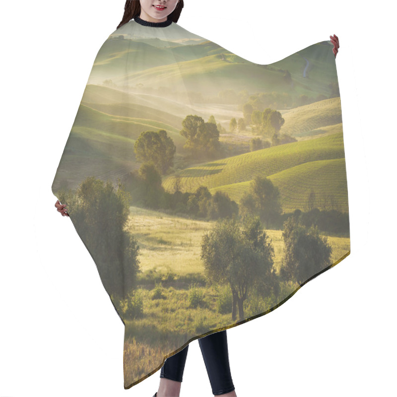 Personality  Tuscan Olive Trees And Fields In The Area Of Siena, Italy Hair Cutting Cape