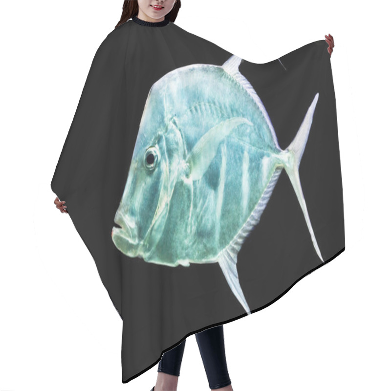 Personality  Fish Silver Moonfish,Lookdowns-Selene Vomer Hair Cutting Cape