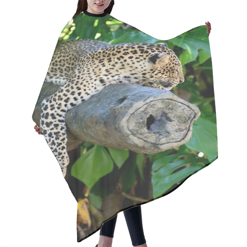 Personality  Leopard Hair Cutting Cape