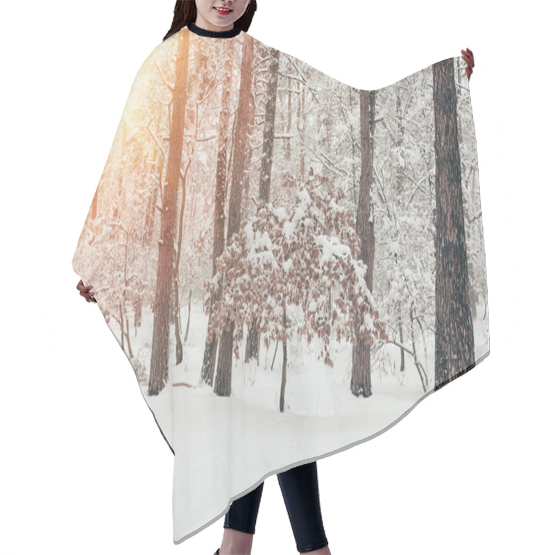 Personality  Scenic View Of Beautiful Snowy Winter Forest With Sunlight Hair Cutting Cape