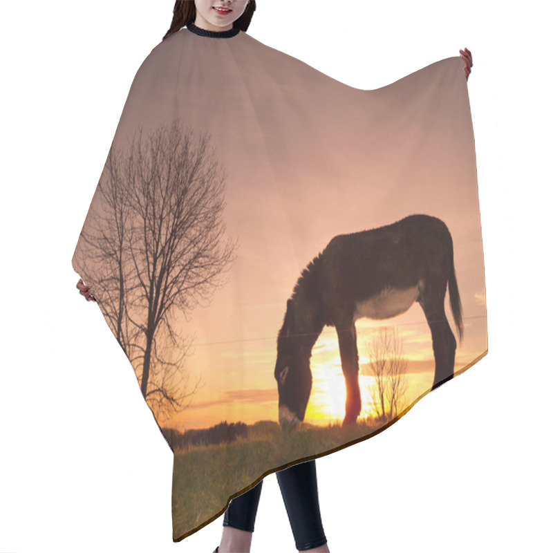 Personality  Donkey Grazing Hair Cutting Cape