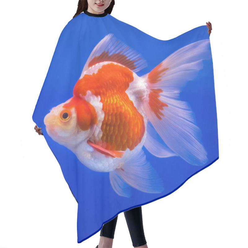 Personality  Goldfish In Aquarium With Green Plants Hair Cutting Cape