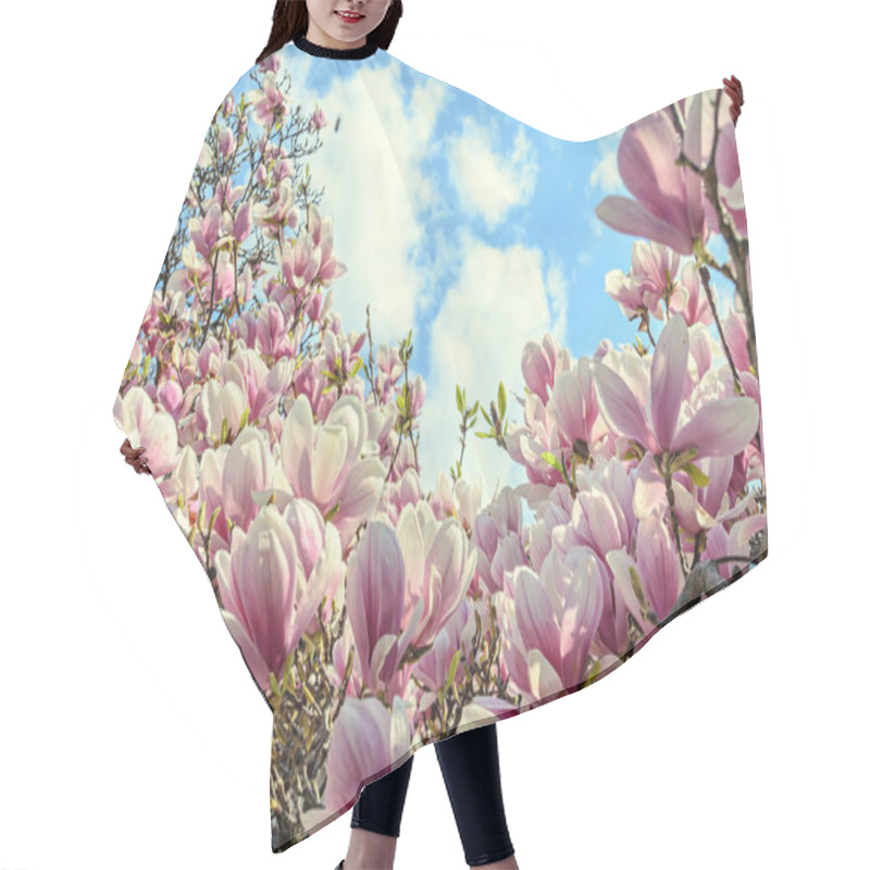 Personality  Magnolia Pink Blossom Tree Flowers, Close Up Branch, Outdoor Hair Cutting Cape