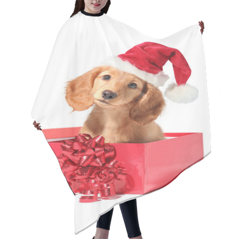 Personality  Santa Puppy Hair Cutting Cape