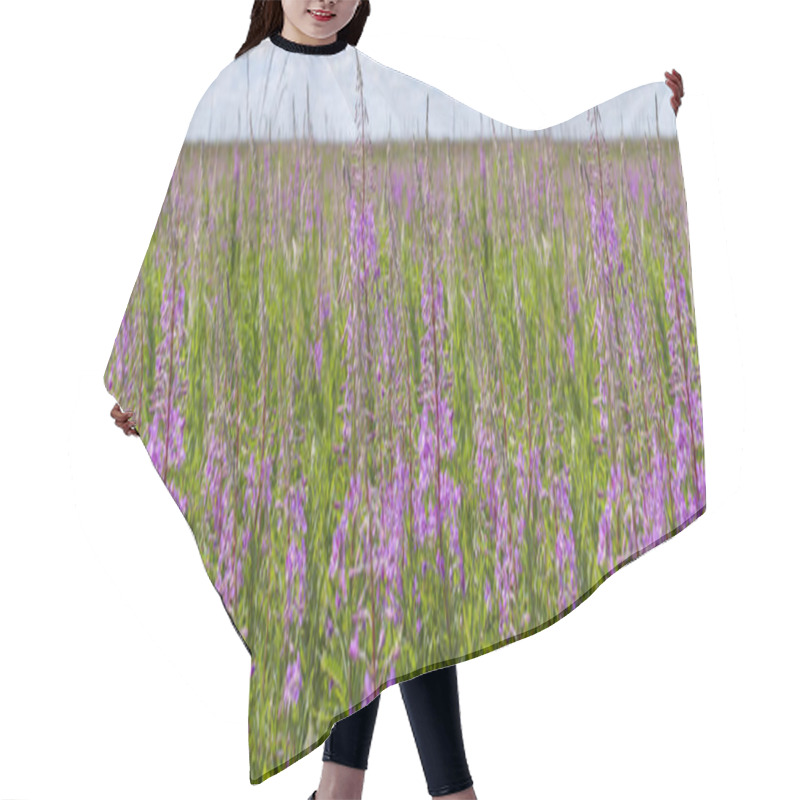 Personality  Blossom Meadow Willow-herb Chamerion Flower Panorama Hair Cutting Cape