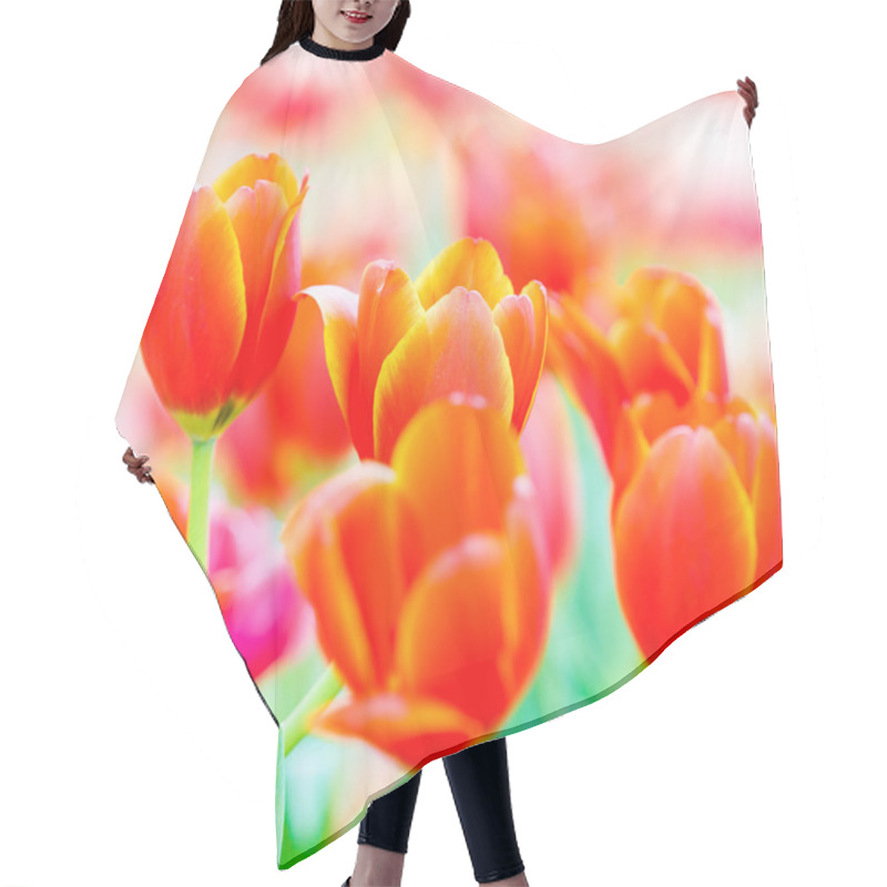 Personality  Spring Blooming Tulips Hair Cutting Cape