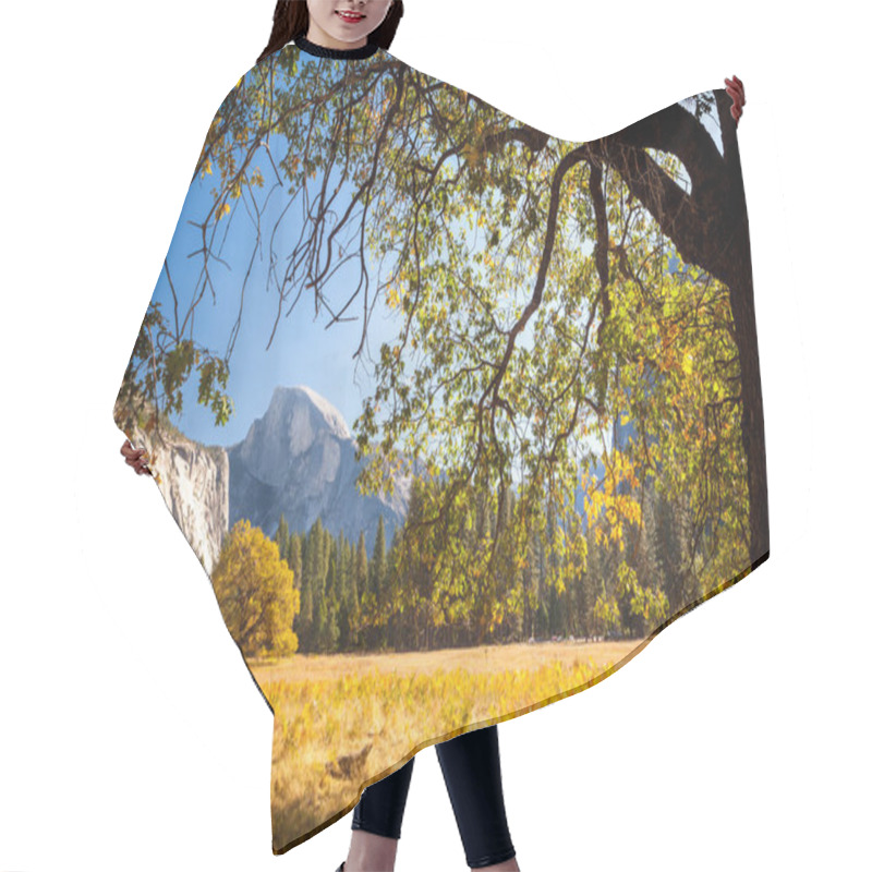 Personality  Yosemite Valley, Yosemite NP,  California, USA Hair Cutting Cape