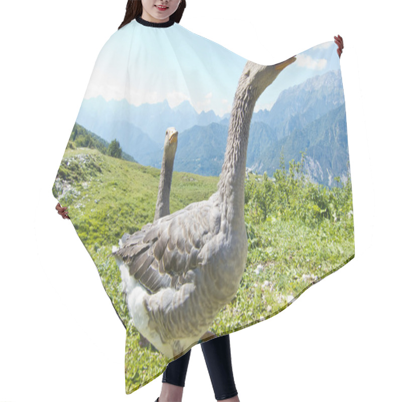 Personality  Two Happy Geese In The Mountain Hair Cutting Cape