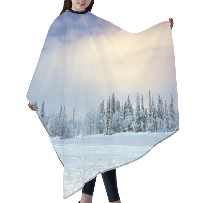 Personality  Winter Landscape At Night Hair Cutting Cape