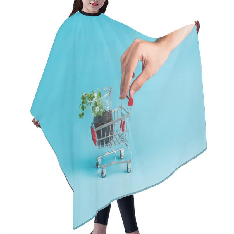 Personality  Cropped View Of Male Hand On Small Shopping Cart With Green Seedling On Blue Background Hair Cutting Cape