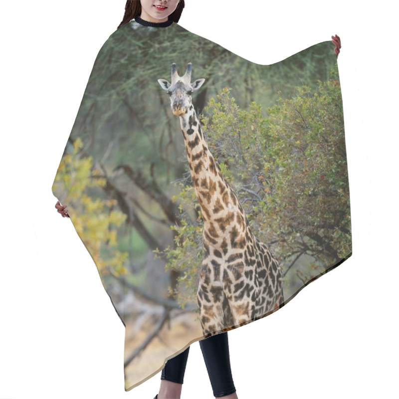 Personality  Giraffe Near Tree In Forest Hair Cutting Cape