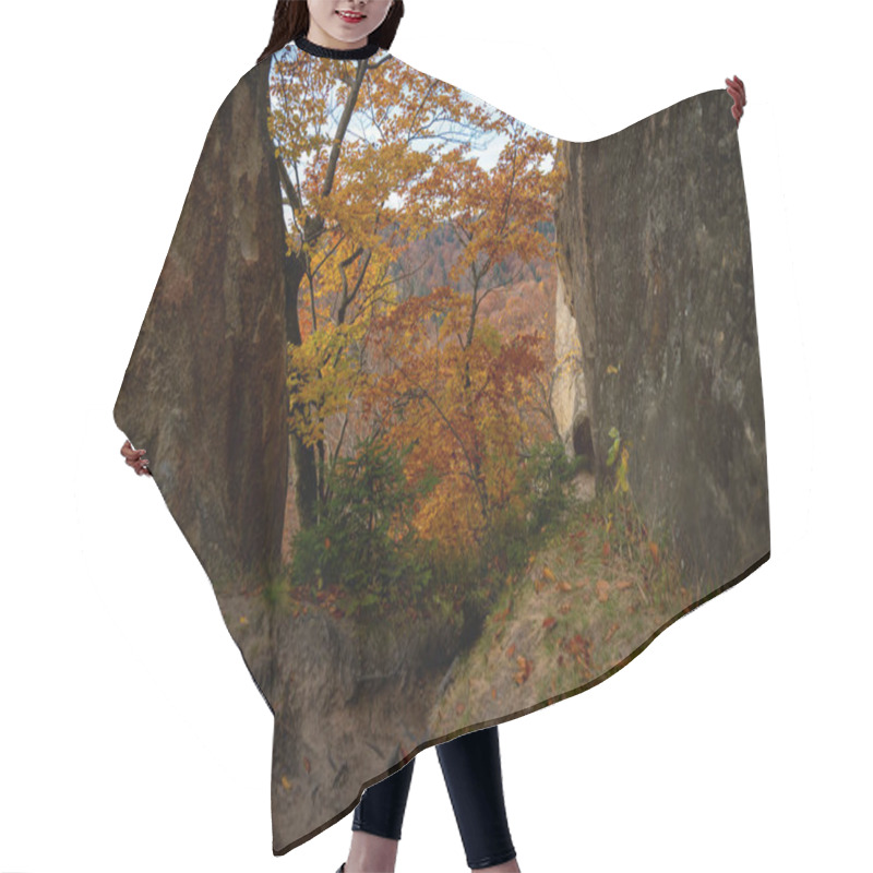 Personality  Golden Autumn Leaves On Branches With A Scenic Mountain Landscape In The Background. Sunlight Filters Through, Enhancing The Warm Tones Of Fall Foliage. Perfect For Nature, Autumn, And Outdoor Themes Hair Cutting Cape