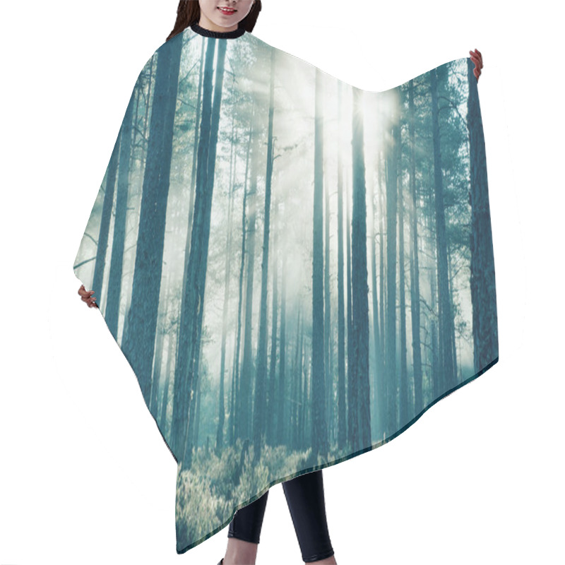 Personality  Coniferous Forest With Morning Sun Shining Hair Cutting Cape