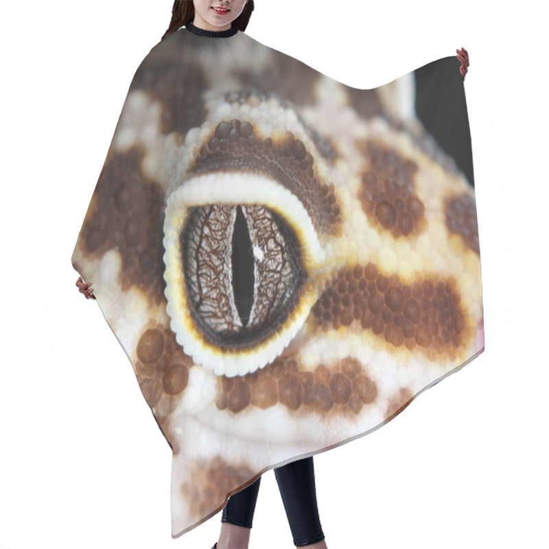 Personality  Lizard Eye Hair Cutting Cape