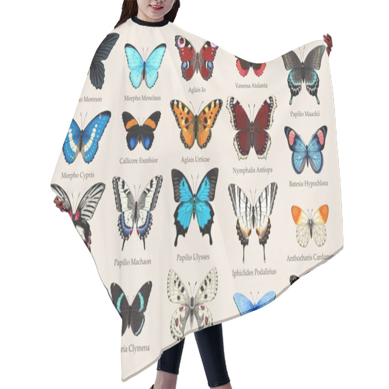 Personality  Big Vector Set Of High Detailed Butterlies Hair Cutting Cape