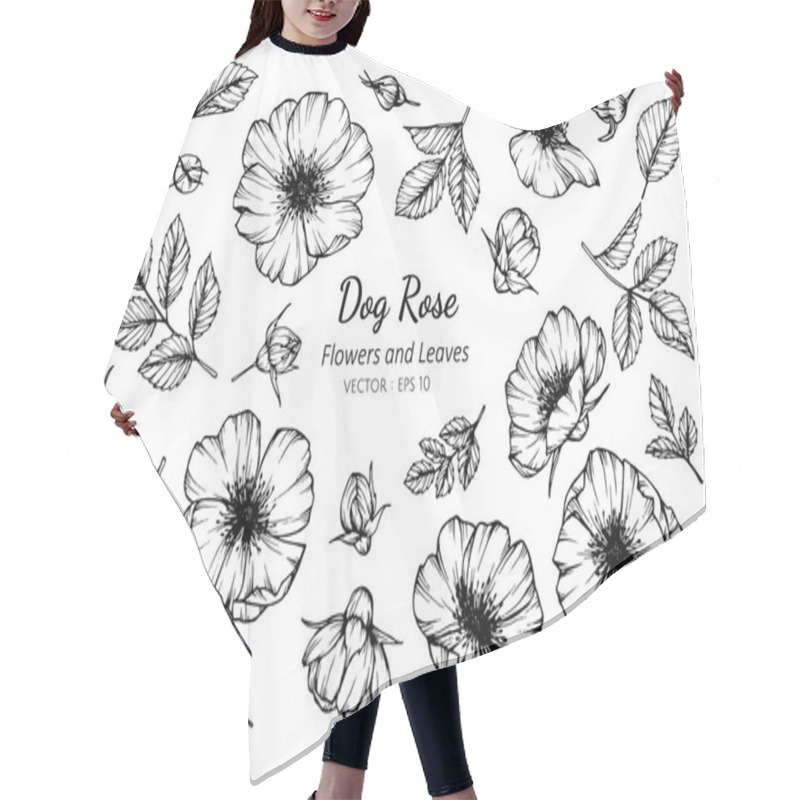 Personality  Collection Set Of Dog Rose Flower And Leaves Drawing. Hair Cutting Cape