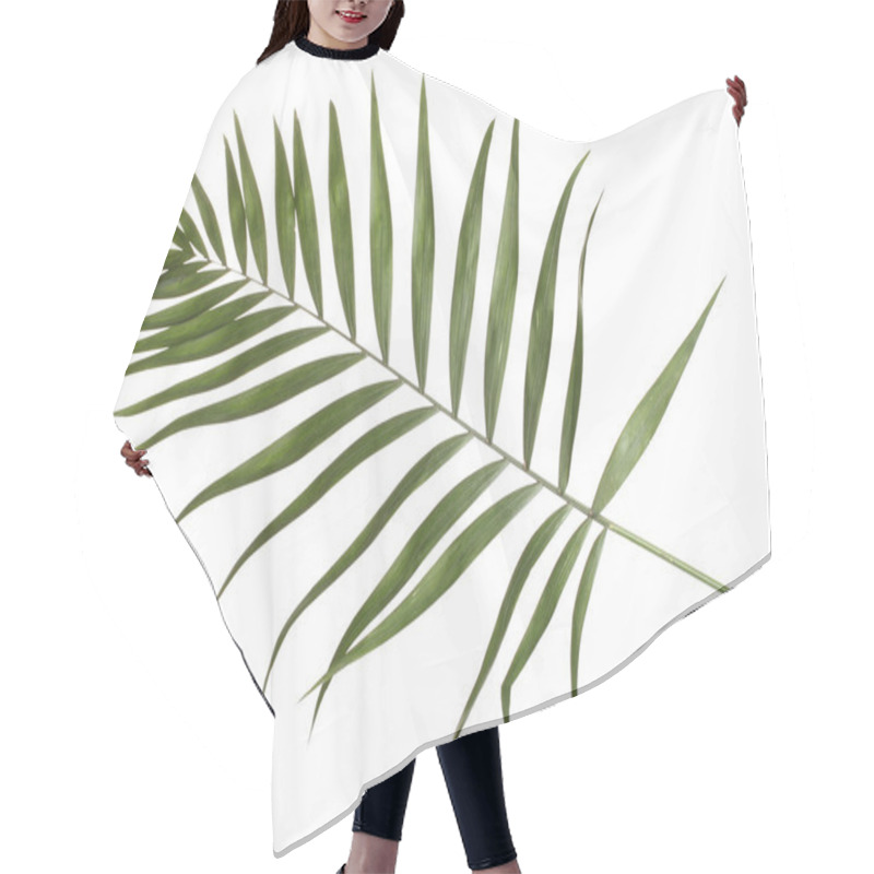 Personality  Beautiful Palm Leaf Isolated On White Hair Cutting Cape