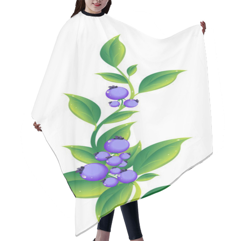 Personality  Berries Hair Cutting Cape