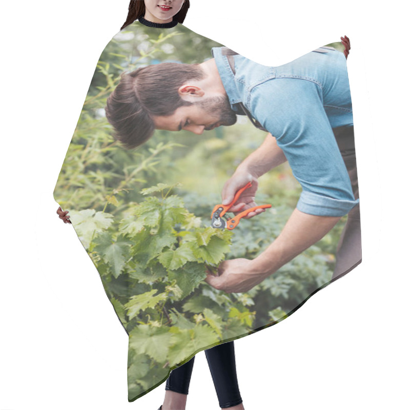 Personality  Gardener With Pruning Shears Cutting Plant Hair Cutting Cape