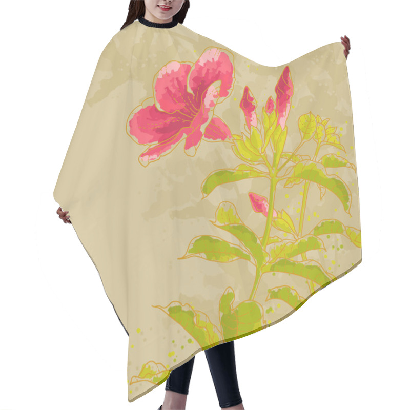 Personality  Allamanda Flower On Toned Background Hair Cutting Cape