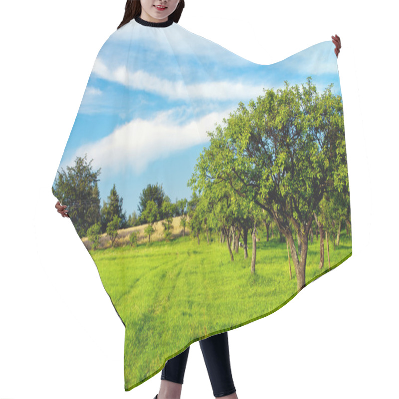 Personality  Apple Orchard On Blue Sky Hair Cutting Cape