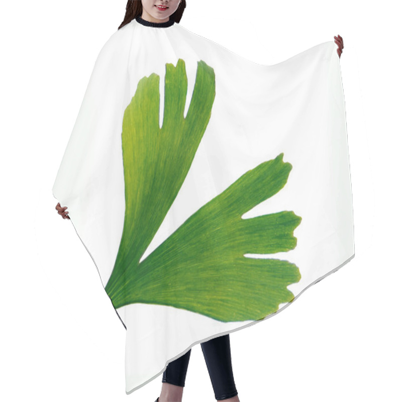 Personality  Gingko Leaf Hair Cutting Cape