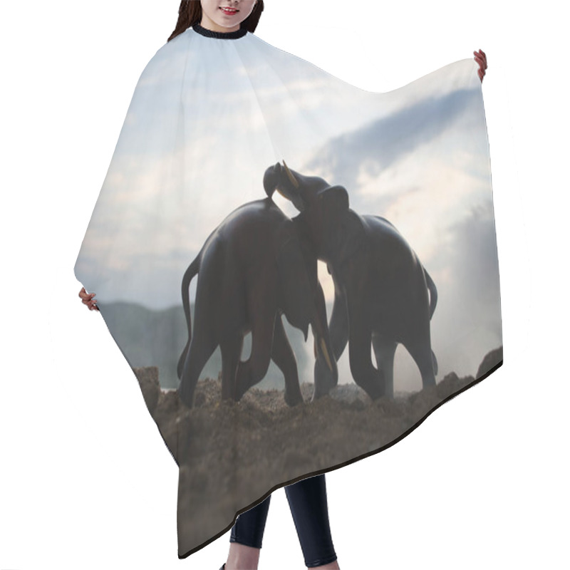 Personality  Two Elephant Bulls Interact And Communicate While Play Fighting. Hair Cutting Cape